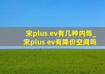 宋plus ev有几种内饰_宋plus ev有降价空间吗